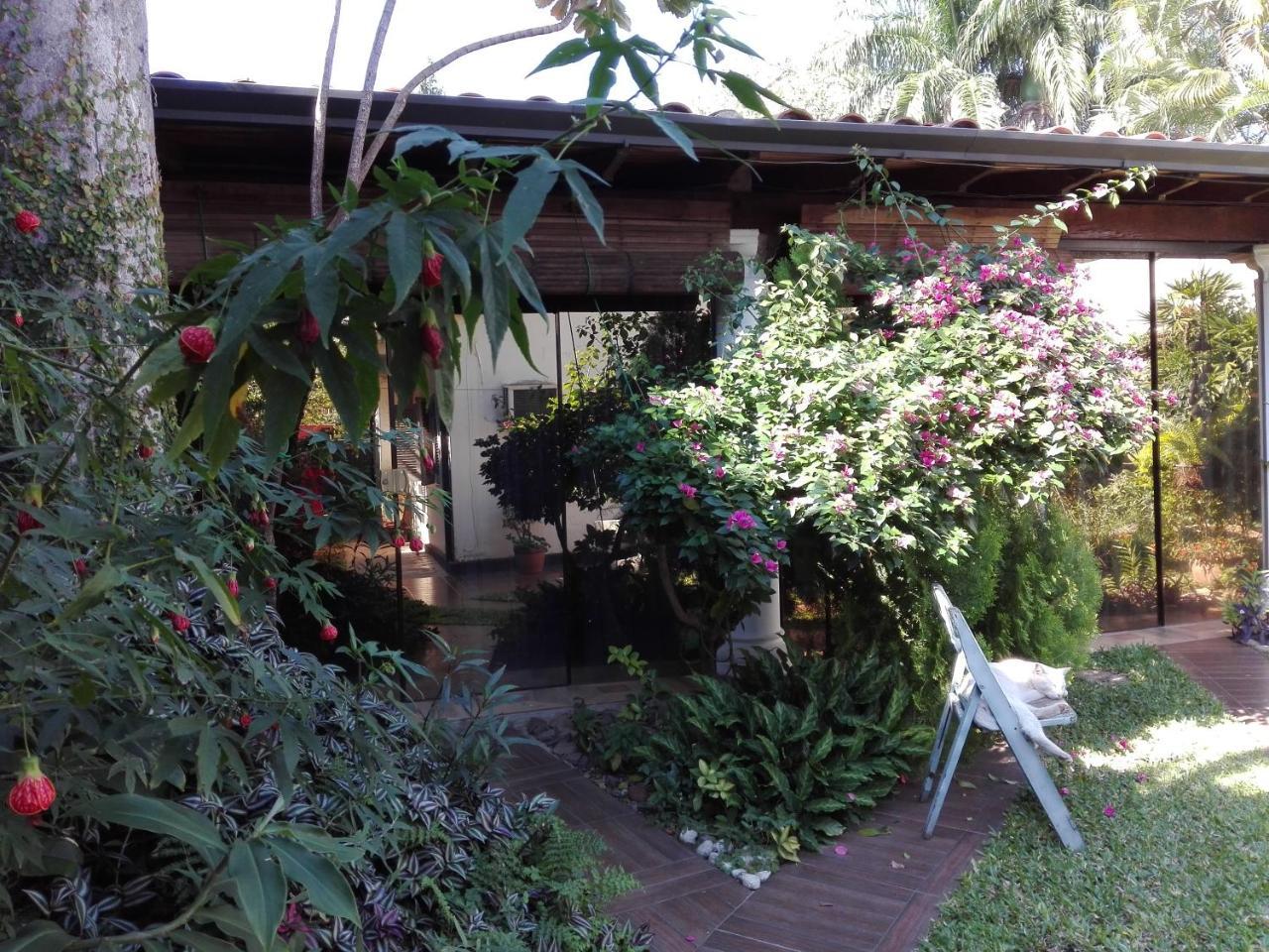 Bed and Breakfast Granados Asunción Zewnętrze zdjęcie